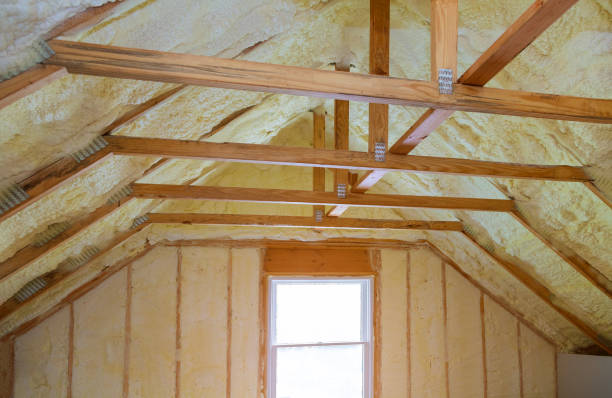 Best Fiberglass Insulation  in Fruit Cove, FL