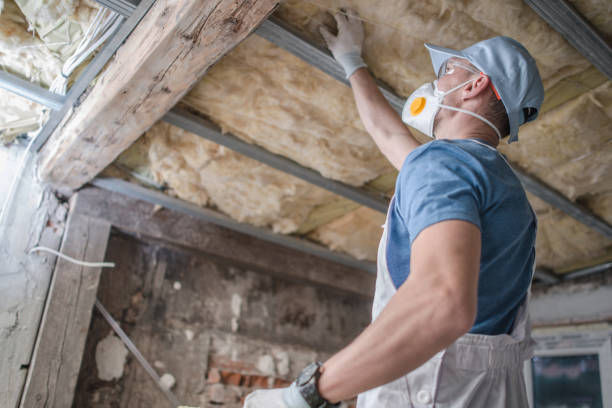 Best Insulation Inspection Services  in Fruit Cove, FL